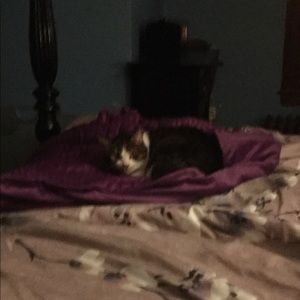 Meet your Posher, Claire